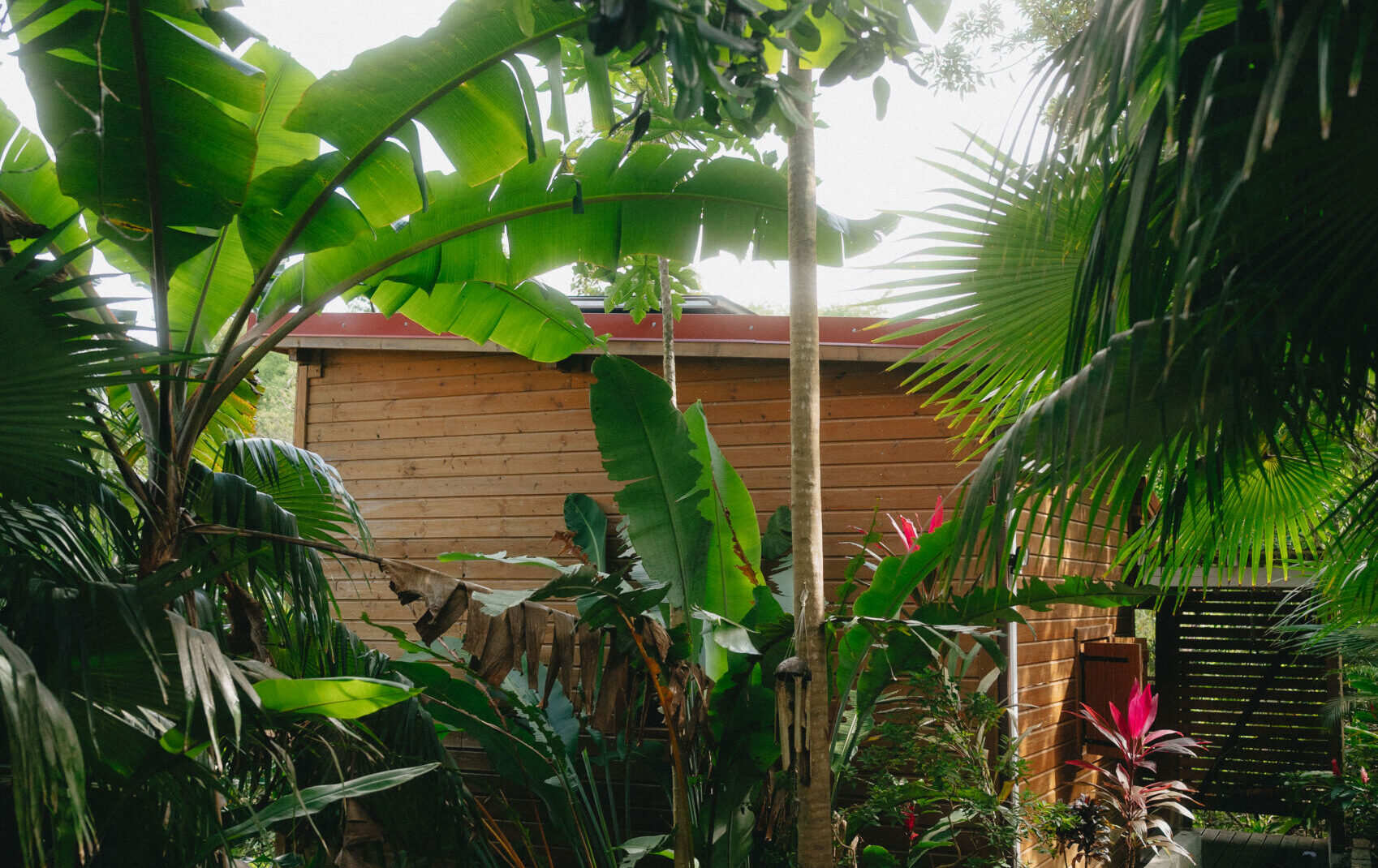 Banana Cottage - Tarifs & Réservation